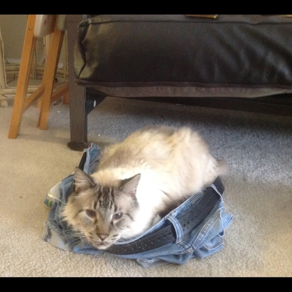 Meet your Posher, DJ - Picture 4 of 8